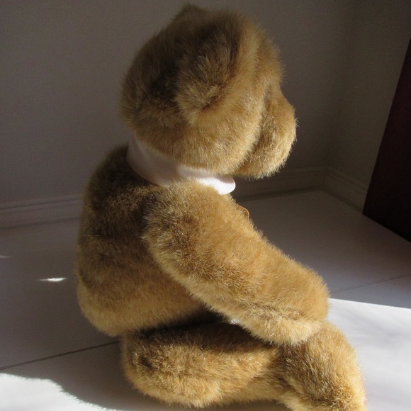 "Mr. Jones" Retired Boyds Bear - Picture 4 of 9